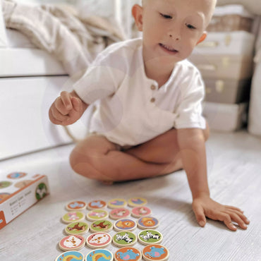 VIGA gyvūnų atminties žaidimas