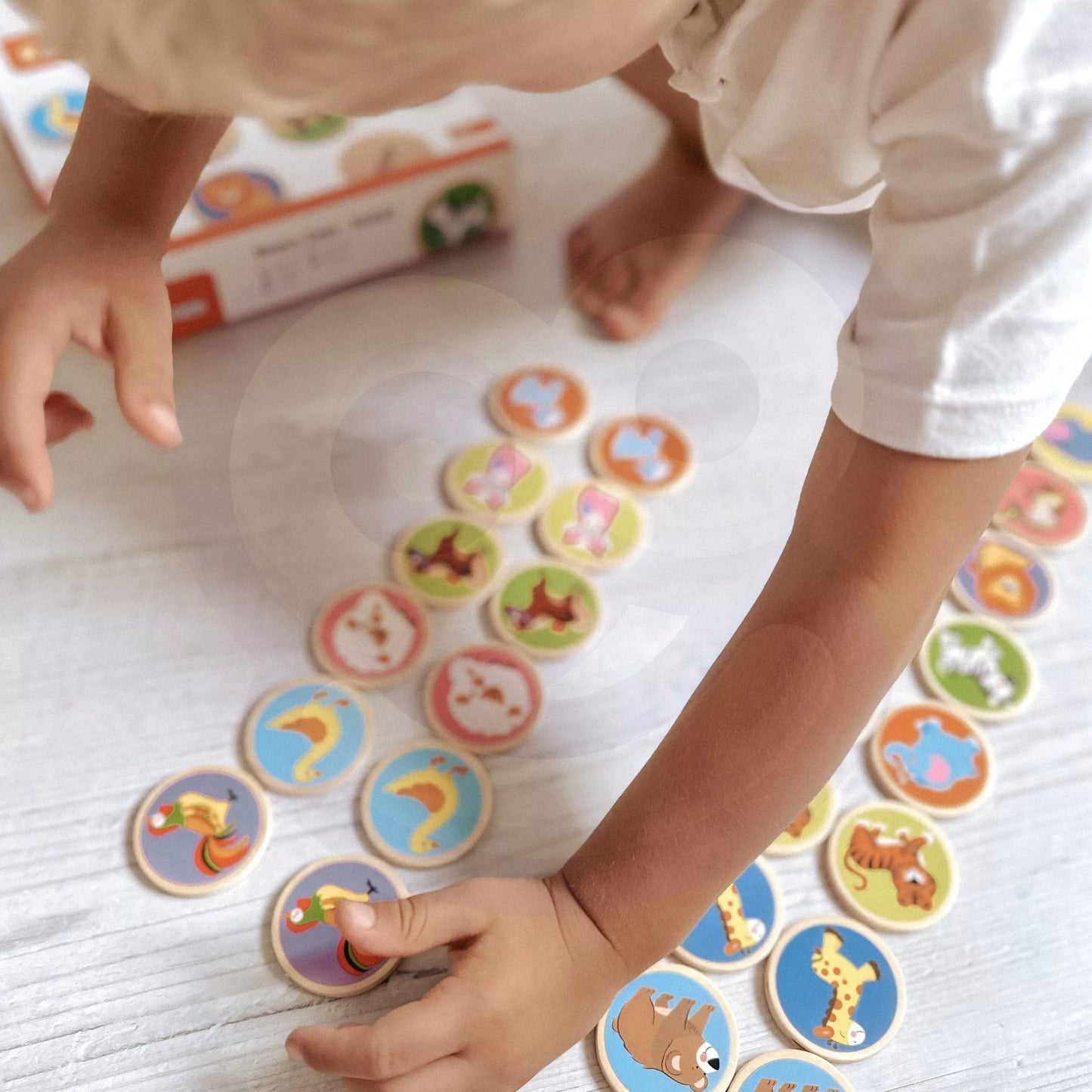 VIGA gyvūnų atminties žaidimas