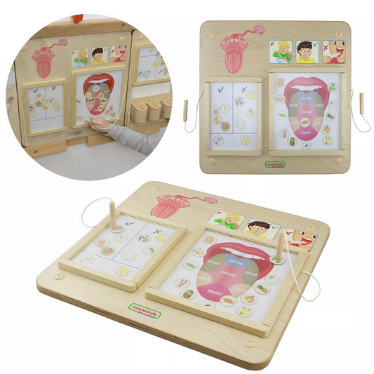 MASTERKIDZ Montessori skonio pojūčio ugdymo taryba