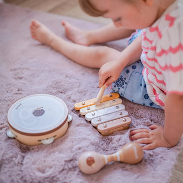 VIGA Polarb Muzikos instrumentų rinkinys su ežiuku