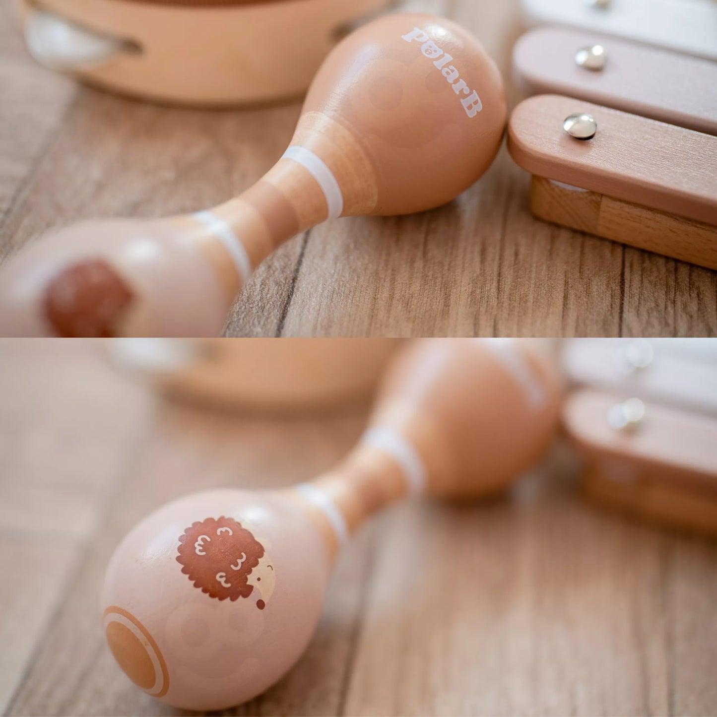 VIGA Polarb Muzikos instrumentų rinkinys su ežiuku