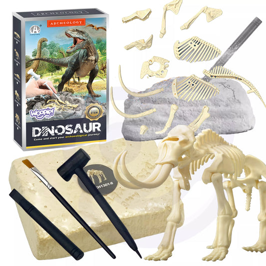 Kūrybinis dinozaurų skeleto rinkinys