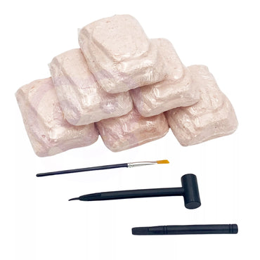 Kūrybinis dinozaurų skeleto rinkinys