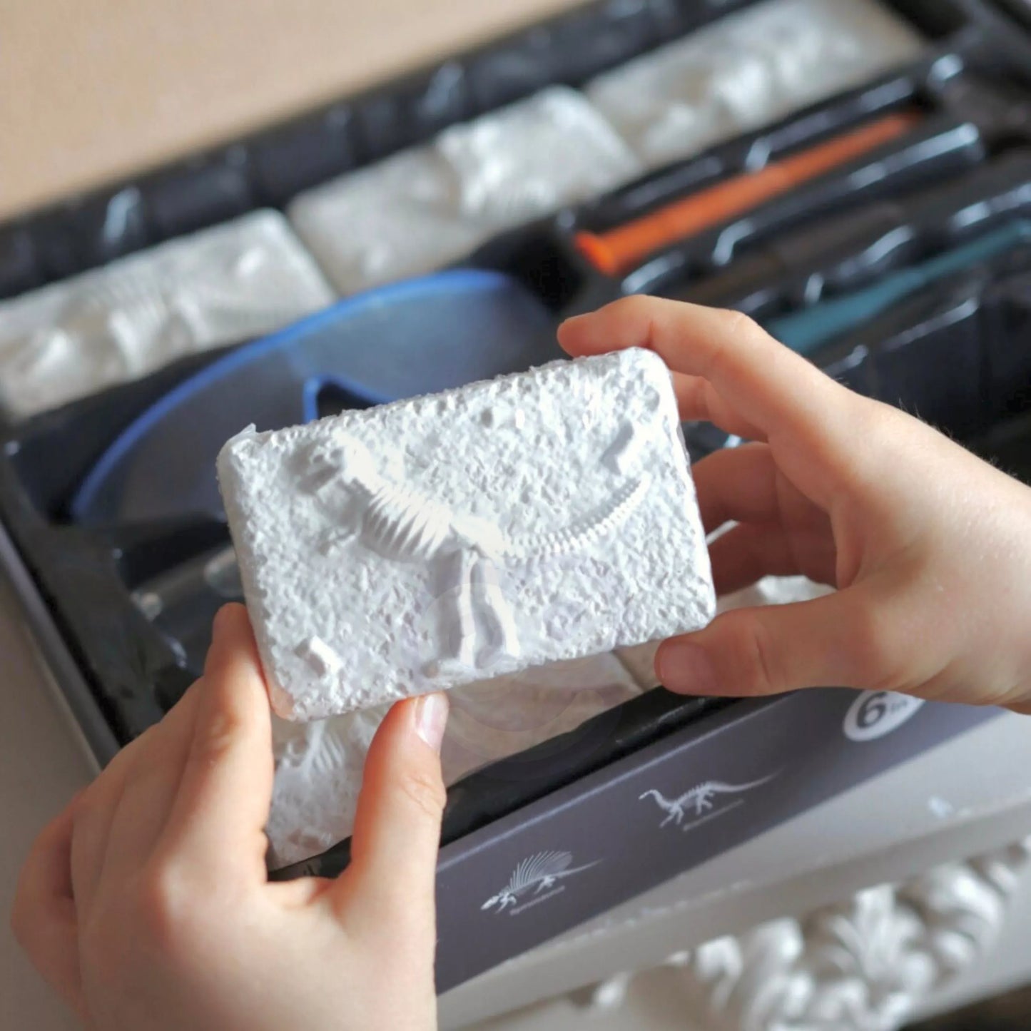 WOOPIE archeologinis rinkinys Dinozaurų skeleto kasinėjimai 6in1 Mažasis archeologas