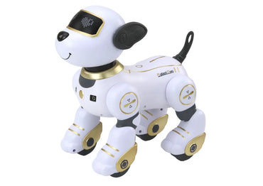 Interaktyvus nuotoliniu valdomas robotas–šuo