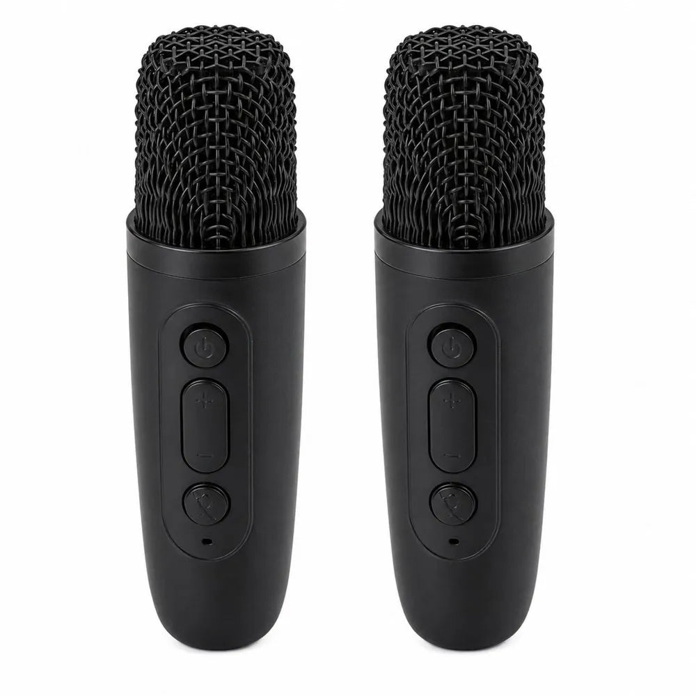 K12 belaidė karaoke sistema – garsiakalbis + 2 mikrofonai