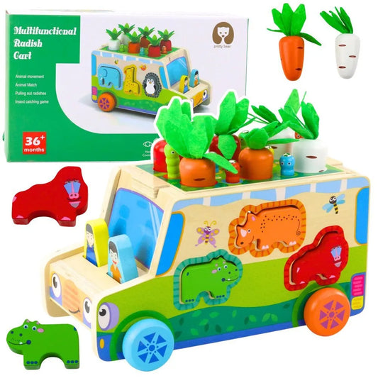 Medinis edukacinis automobilis rūšiuoklis