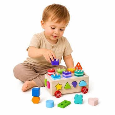 Medinis Montessori rūšiuotuvas ant ratukų