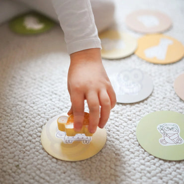 „WOOPIE GREEN“ lietimo ir atpažinimo paslapčių dėžė