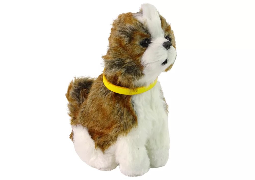 Interaktyvus pliušinis šuniukas – Shih Tzu veislė