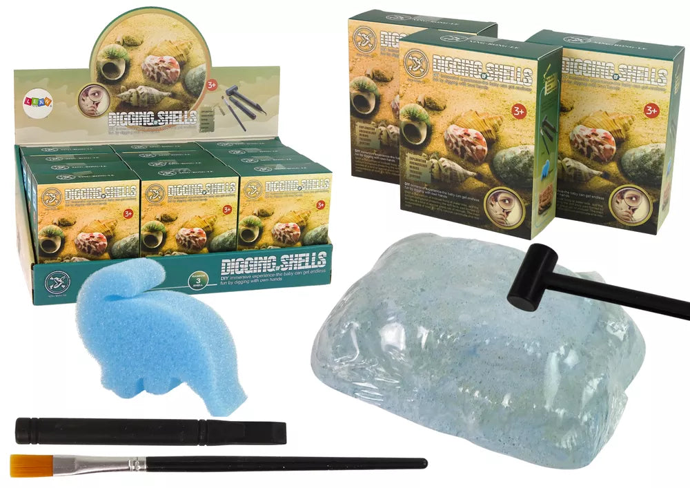 Kriauklių kasinėjimo rinkinys – 3 modeliai