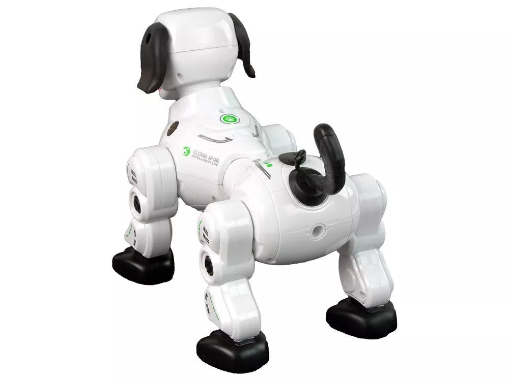 Interaktyvus nuotoliniu būdu valdomas robotas–šuniukas