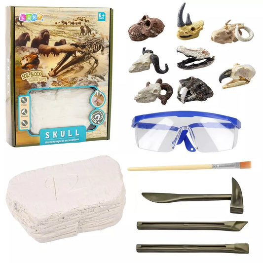 Edukacinis kaukolės kasinėjimų archeologijos rinkinys vaikams