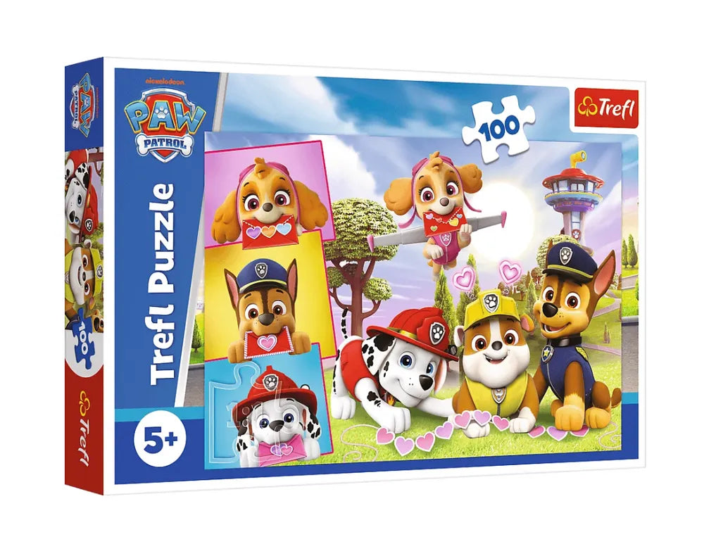 Dėlionė 100 detalių – „Drąsios mergaitės“ – Paw Patrol