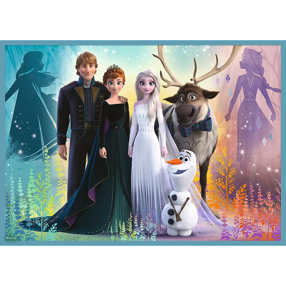 Dėlionės 4in1 „Nuostabus frozen elzų pasaulis“