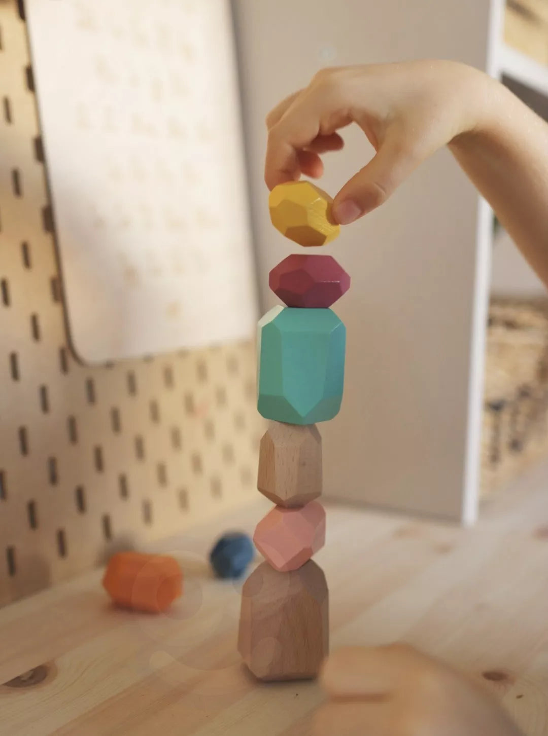 6in1 Montessori žaislų rinkinys