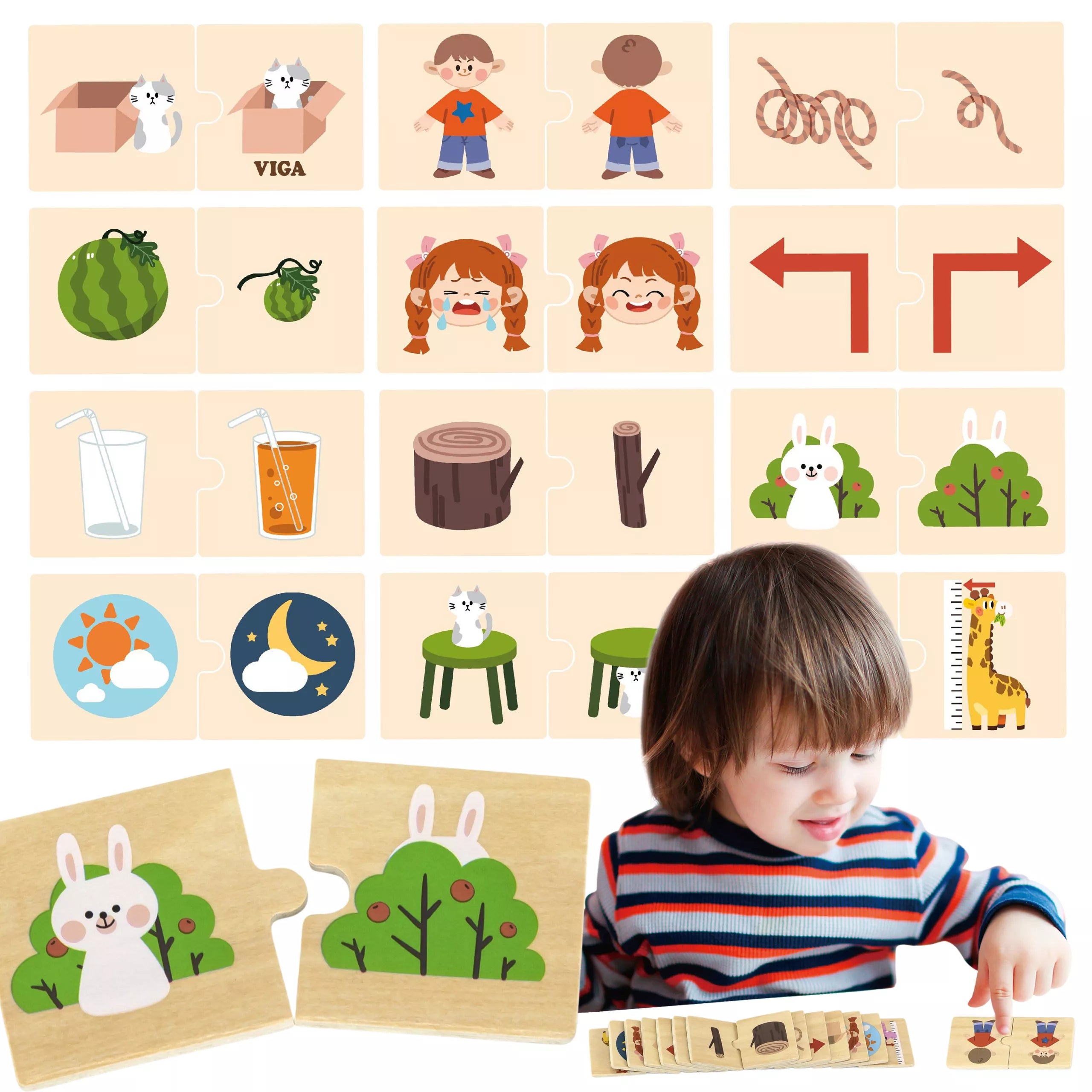 Medinių priešingybių dėlionė