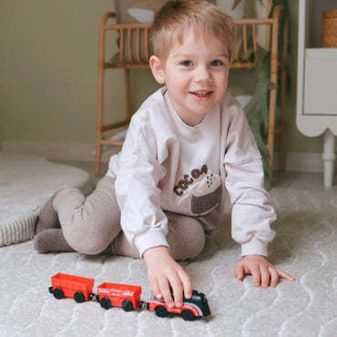 WOOPIE Electric Queue Set Locomotive Track Farm Animals 70 vnt.