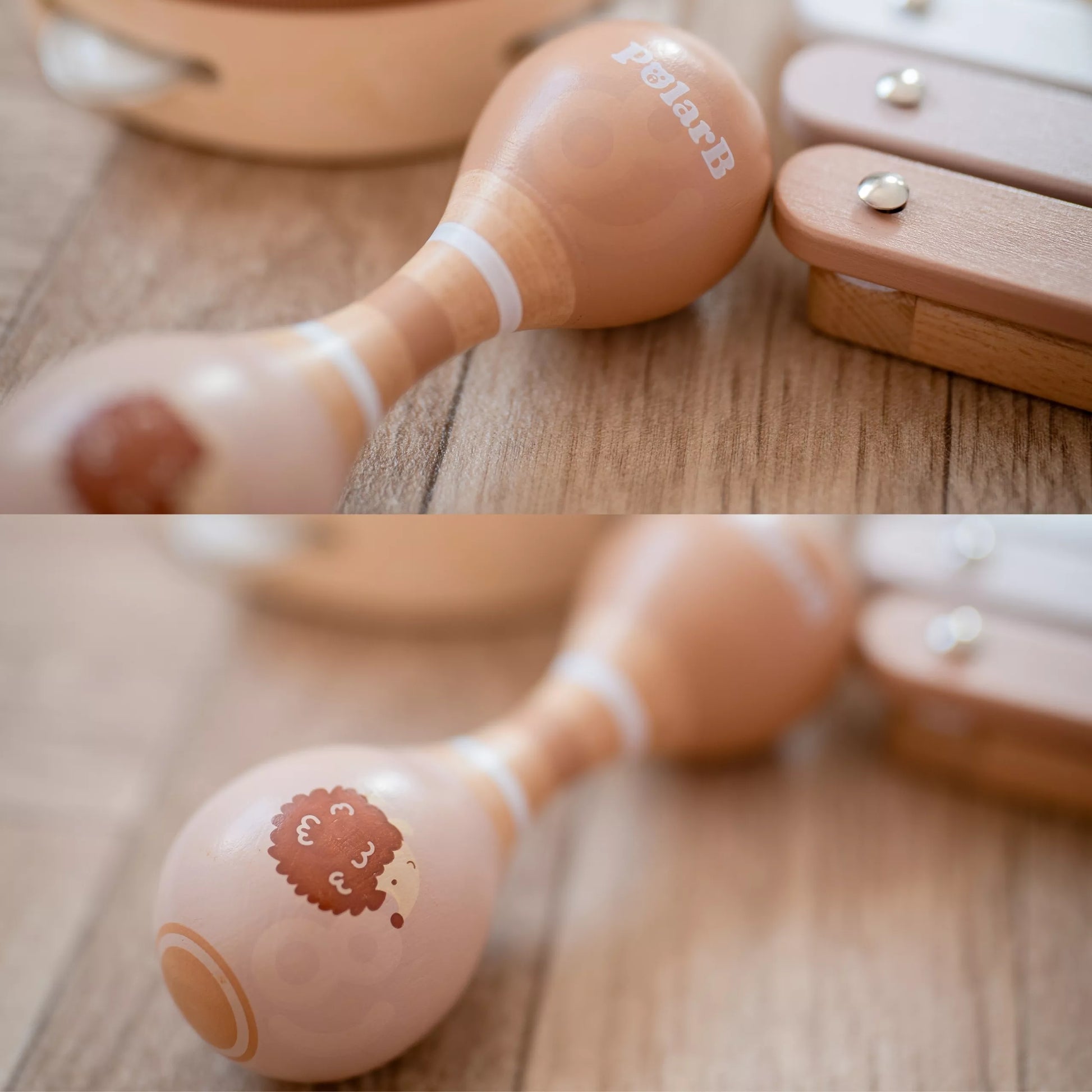 VIGA Polarb Muzikos instrumentų rinkinys su ežiuku