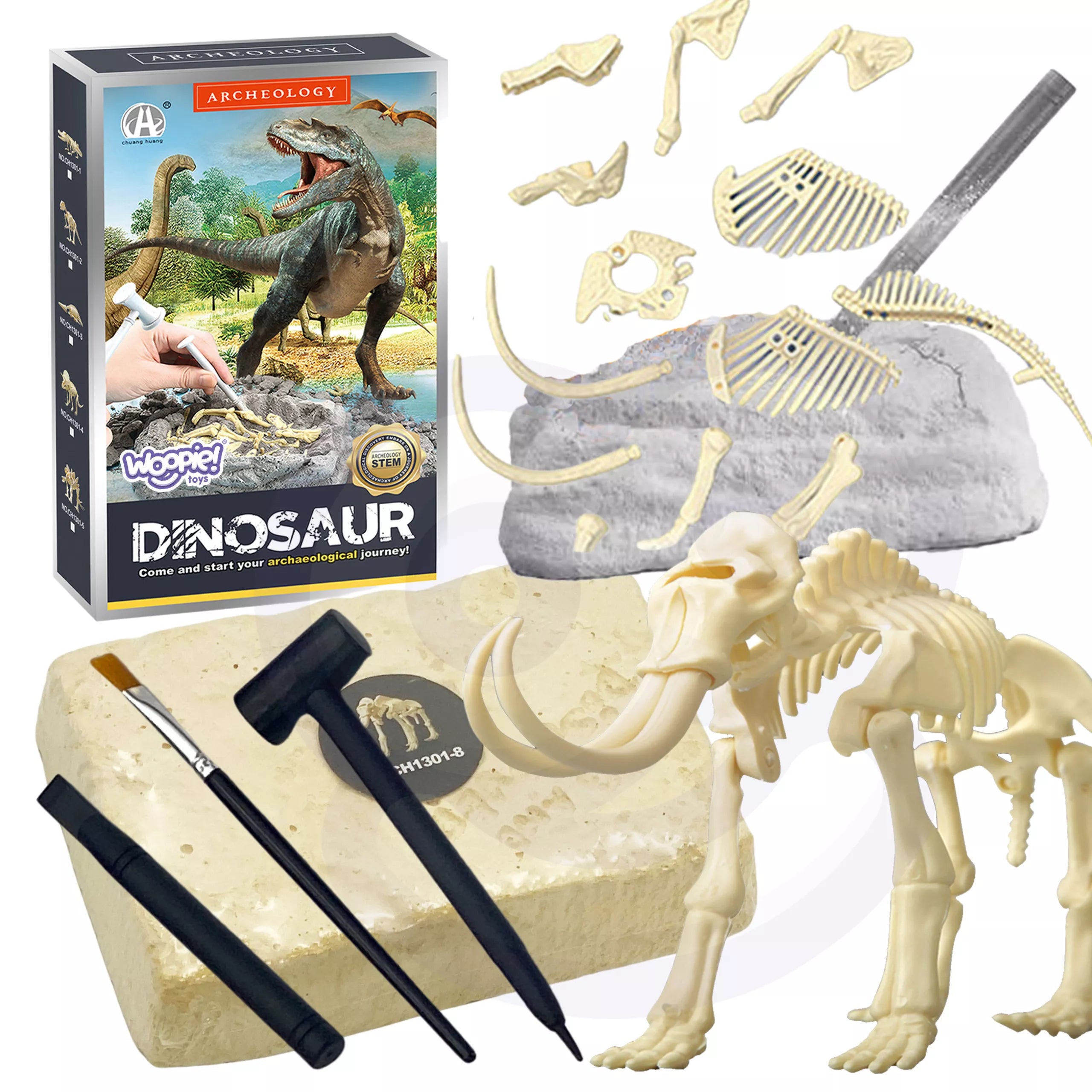 Kūrybinis dinozaurų skeleto rinkinys