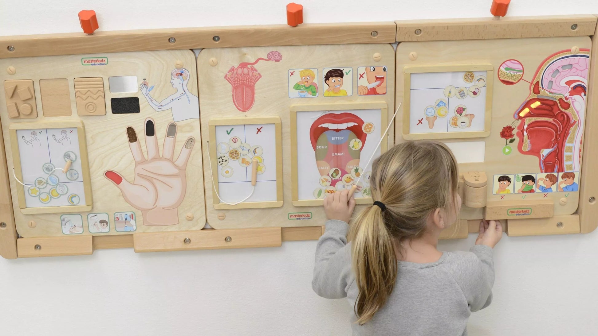 MASTERKIDZ Montessori Smell Sense Educational Board