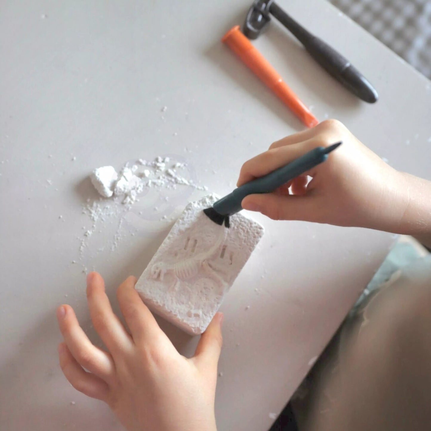 WOOPIE archeologinis rinkinys Dinozaurų skeleto kasinėjimai 6in1 Mažasis archeologas