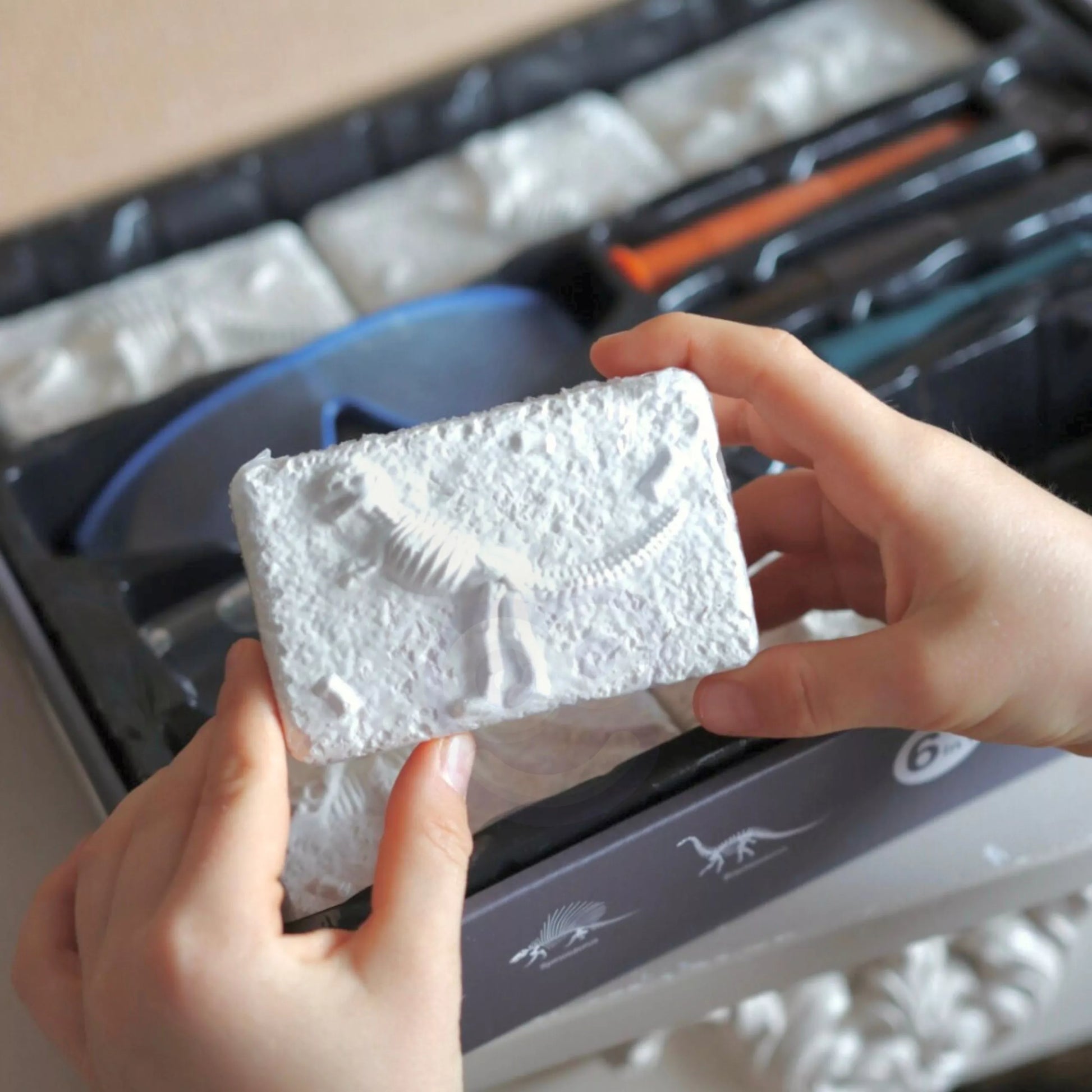 WOOPIE archeologinis rinkinys Dinozaurų skeleto kasinėjimai 6in1 Mažasis archeologas