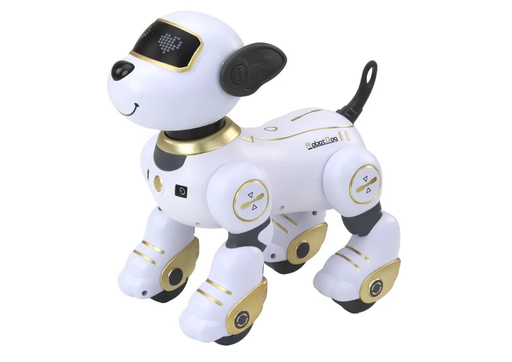 Interaktyvus nuotoliniu valdomas robotas–šuo