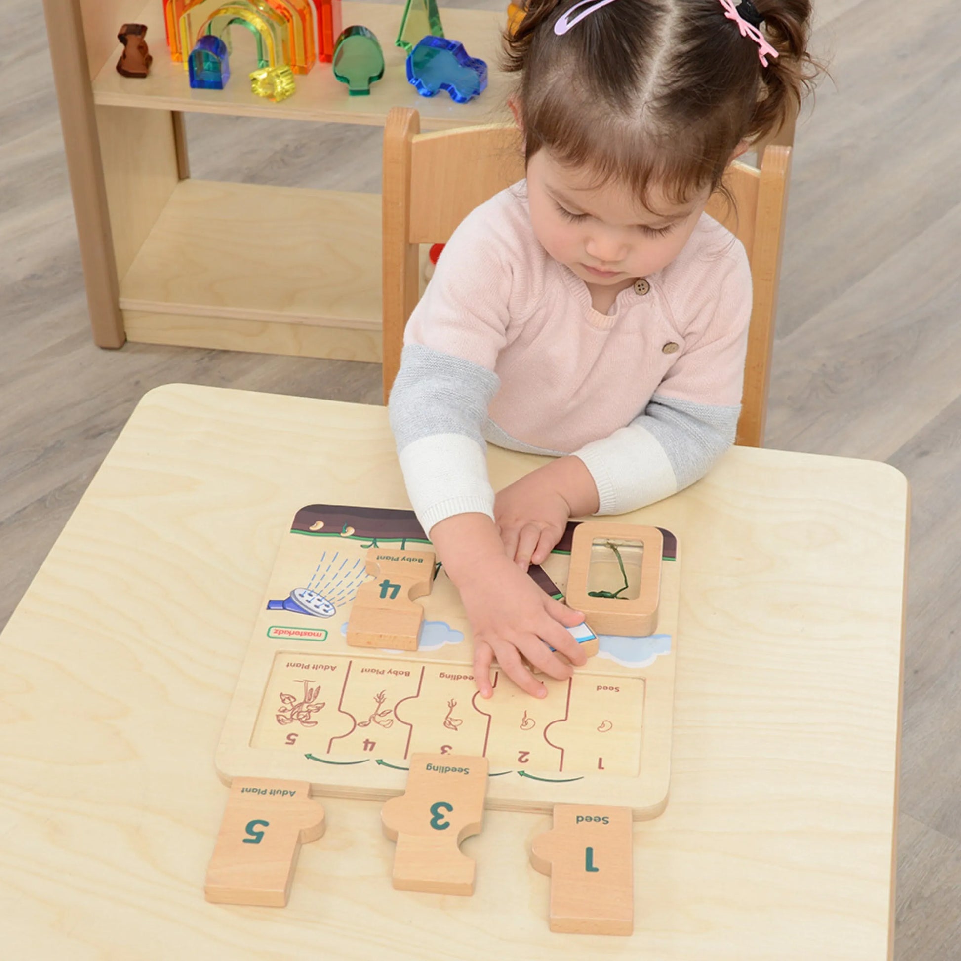 Masterkidz medinė edukacinė lenta – fasolės gyvenimo ciklas
