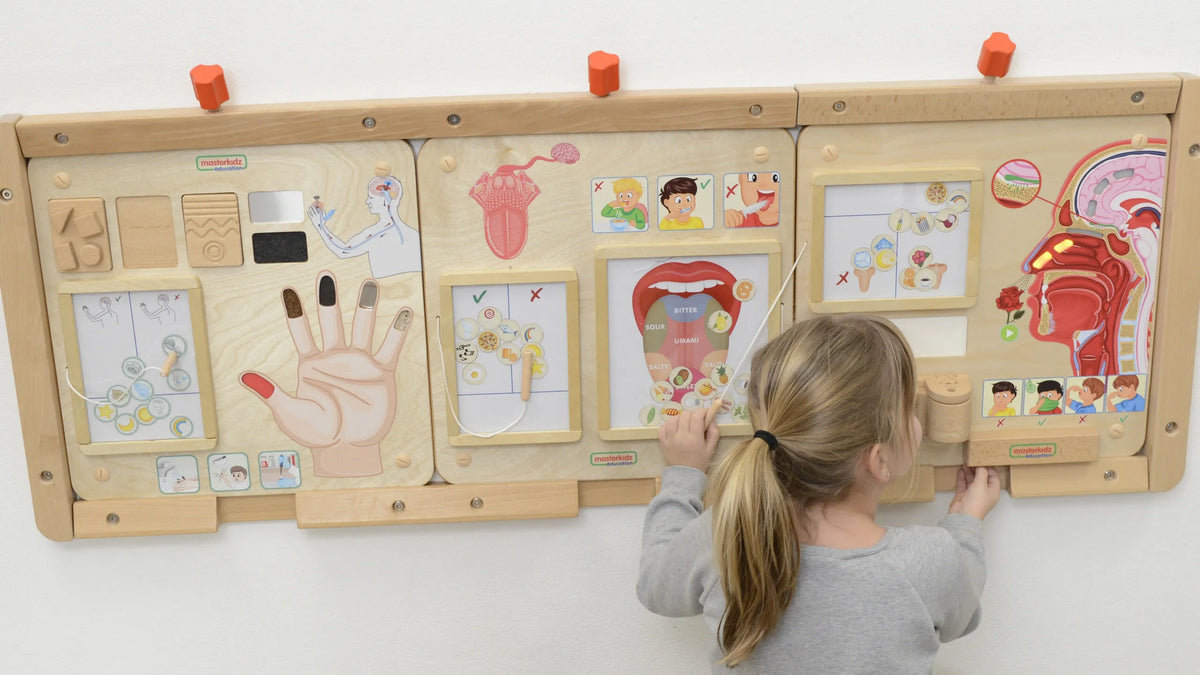 MASTERKIDZ Montessori sensorinė edukacinė lenta