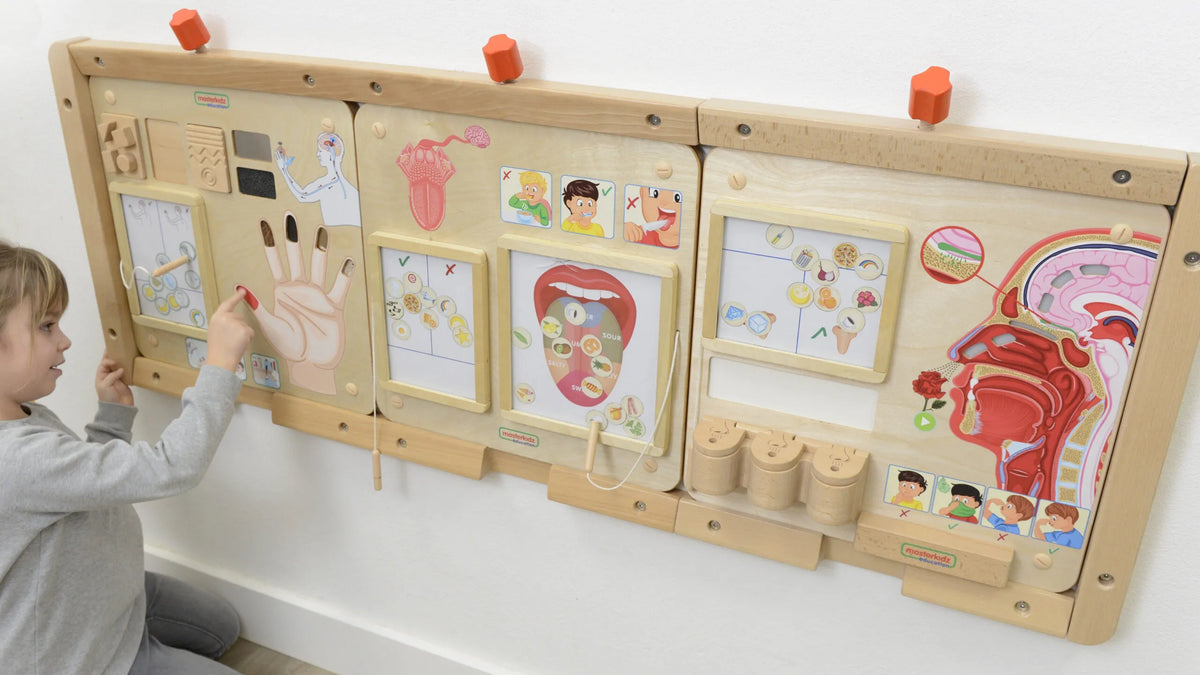 MASTERKIDZ Montessori sensorinė edukacinė lenta