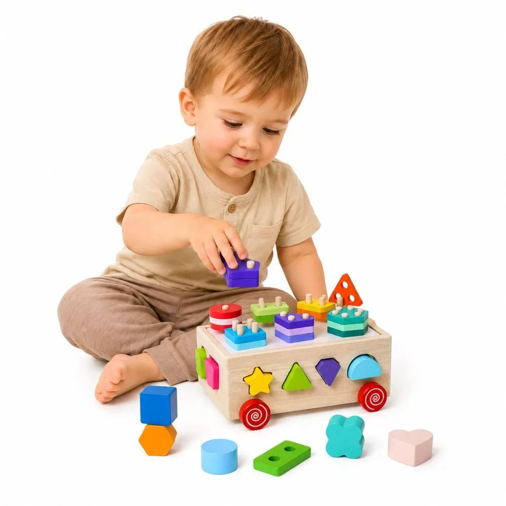 Medinis Montessori rūšiuotuvas ant ratukų
