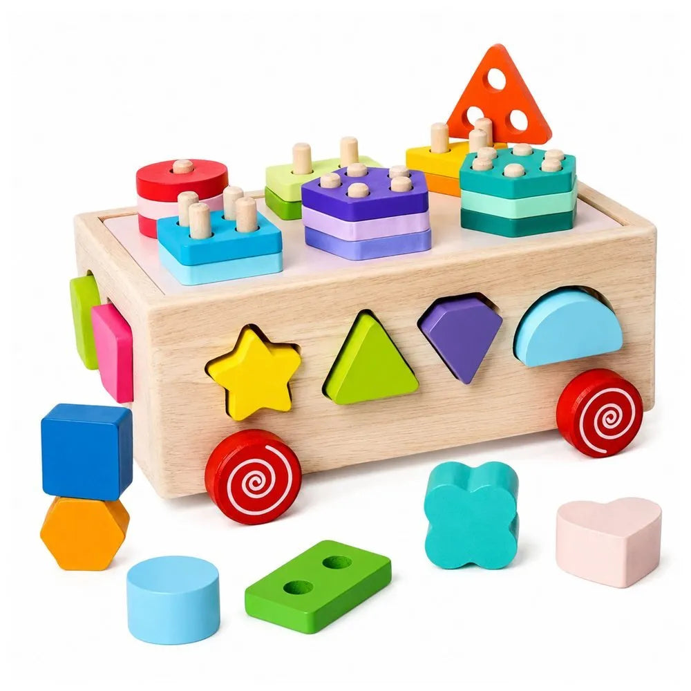Medinis Montessori rūšiuotuvas ant ratukų