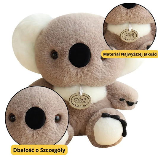 Pliušinė koala pilka 23 cm