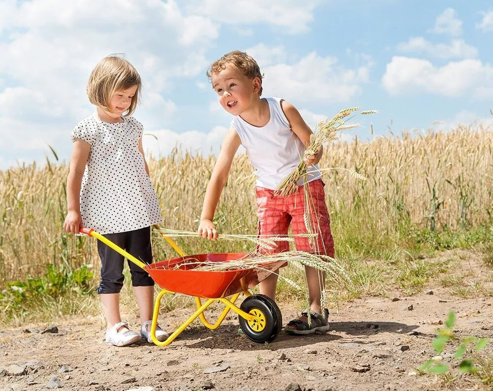 Metalinis karutis – raudonas