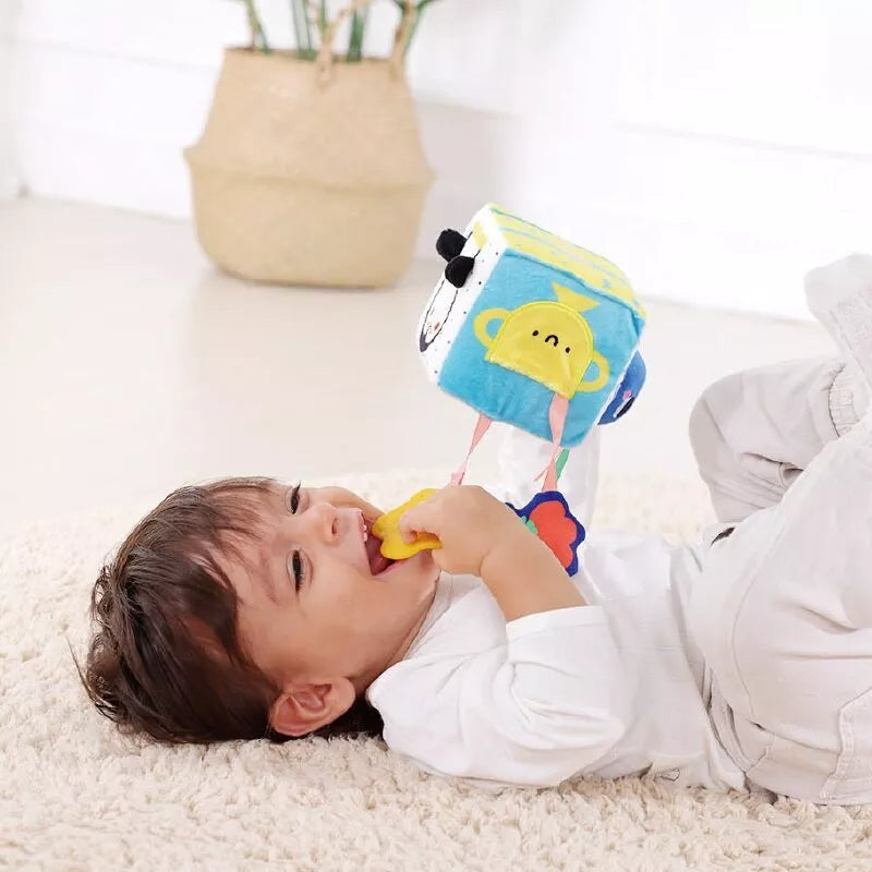 TOOKY TOY Žaislų dėžutė XXL Montessori edukacinė 5in1 sensorinė dėžutė 11-12 mėnesių