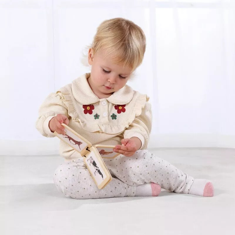 TOOKY TOY Žaislų dėžutė XXL Montessori edukacinė 6in1 sensorinė dėžutė 7-8 mėn.