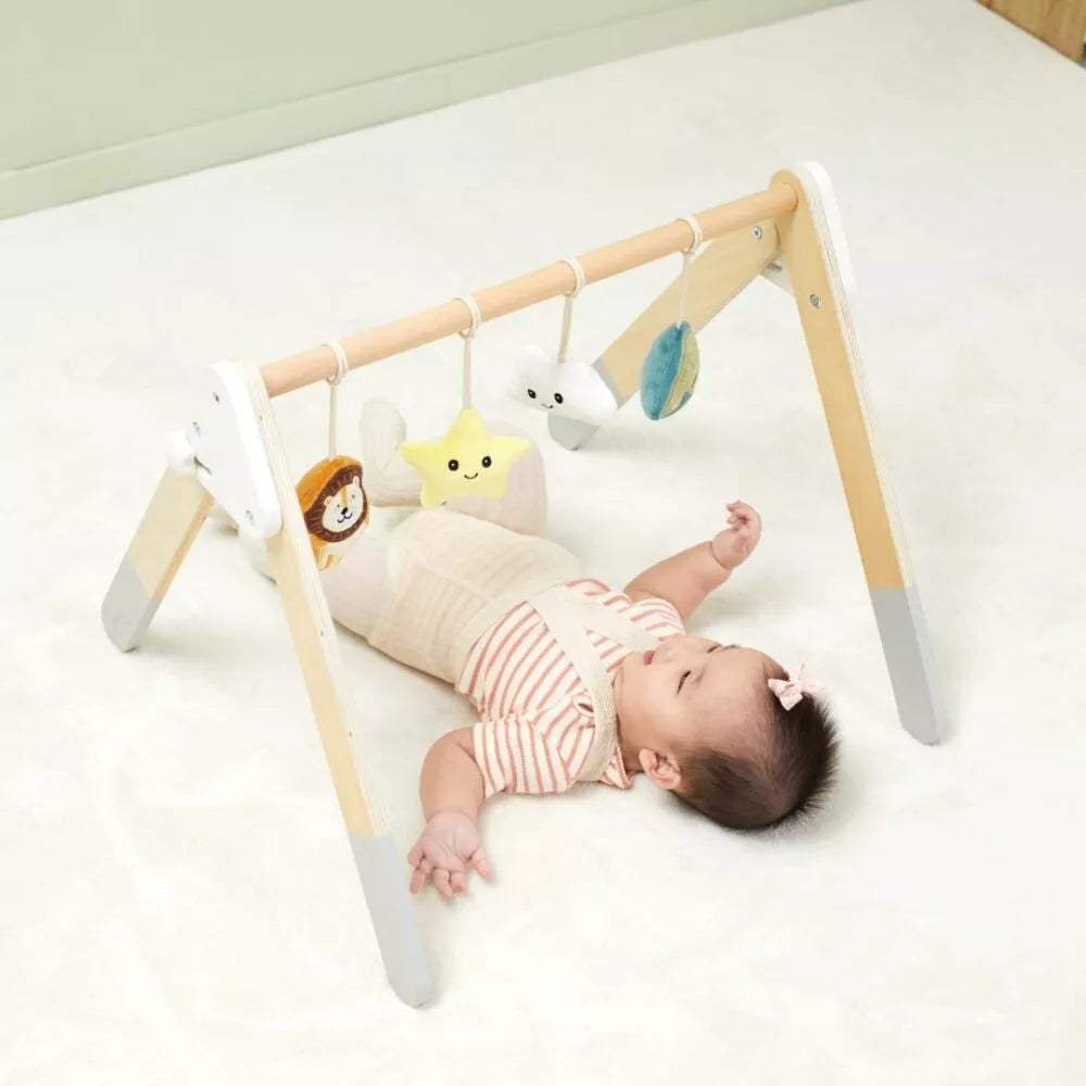 VIGA PolarB Baby Gym stovas kūdikiams