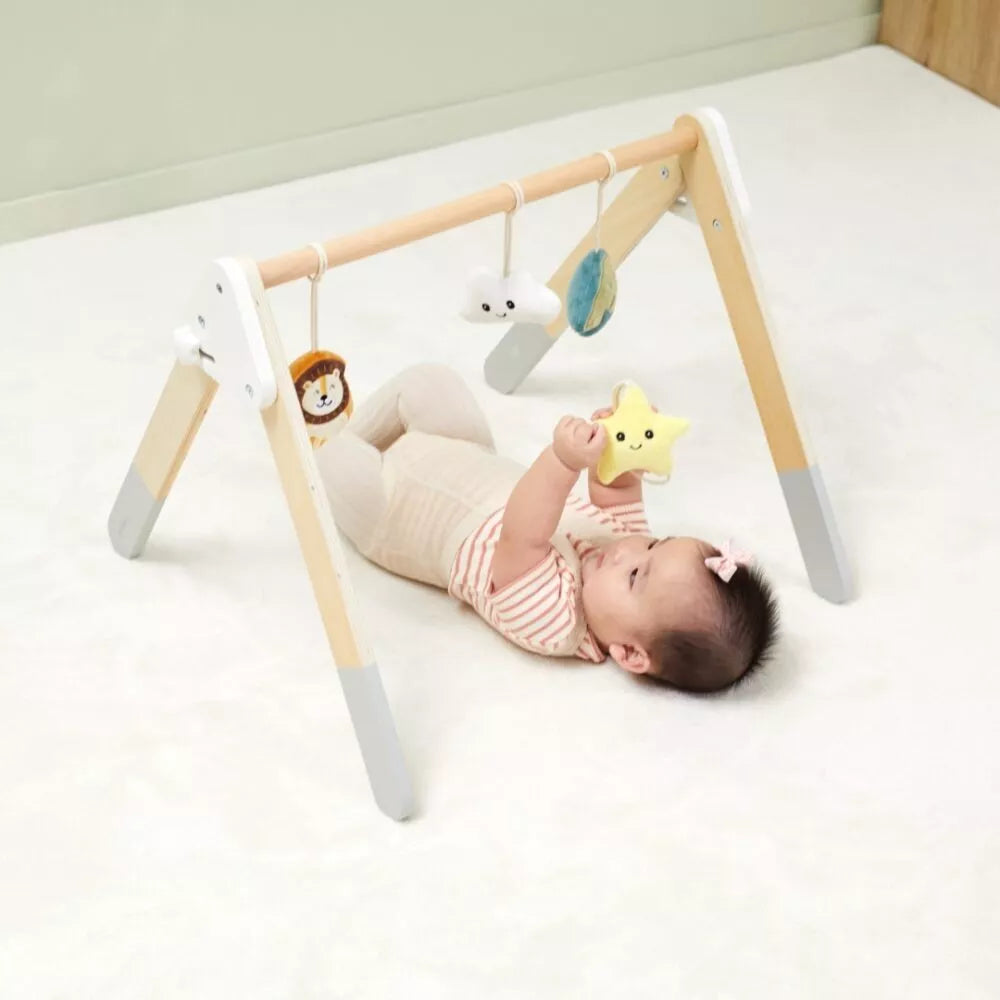 VIGA PolarB Baby Gym stovas kūdikiams