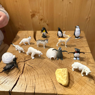 Woopie Arkties gyvūnų figūrėlių rinkinys