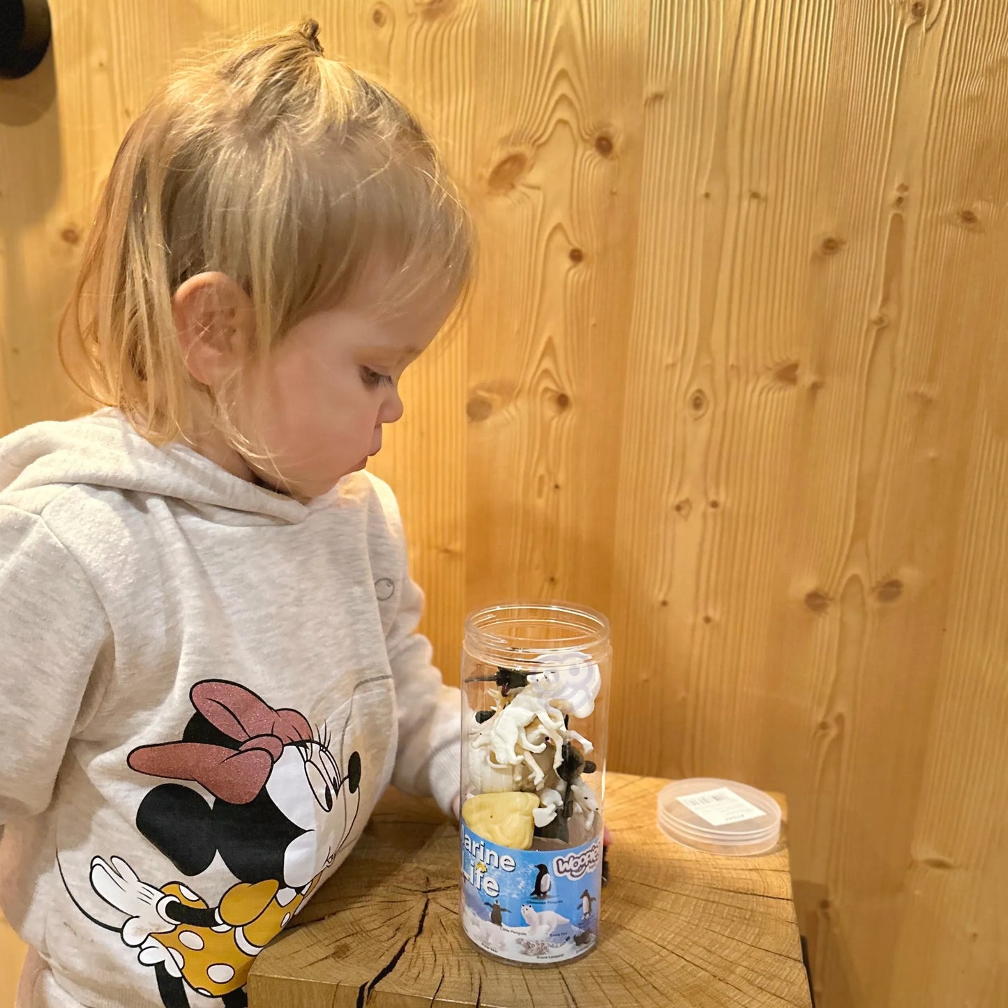 Woopie Arkties gyvūnų figūrėlių rinkinys