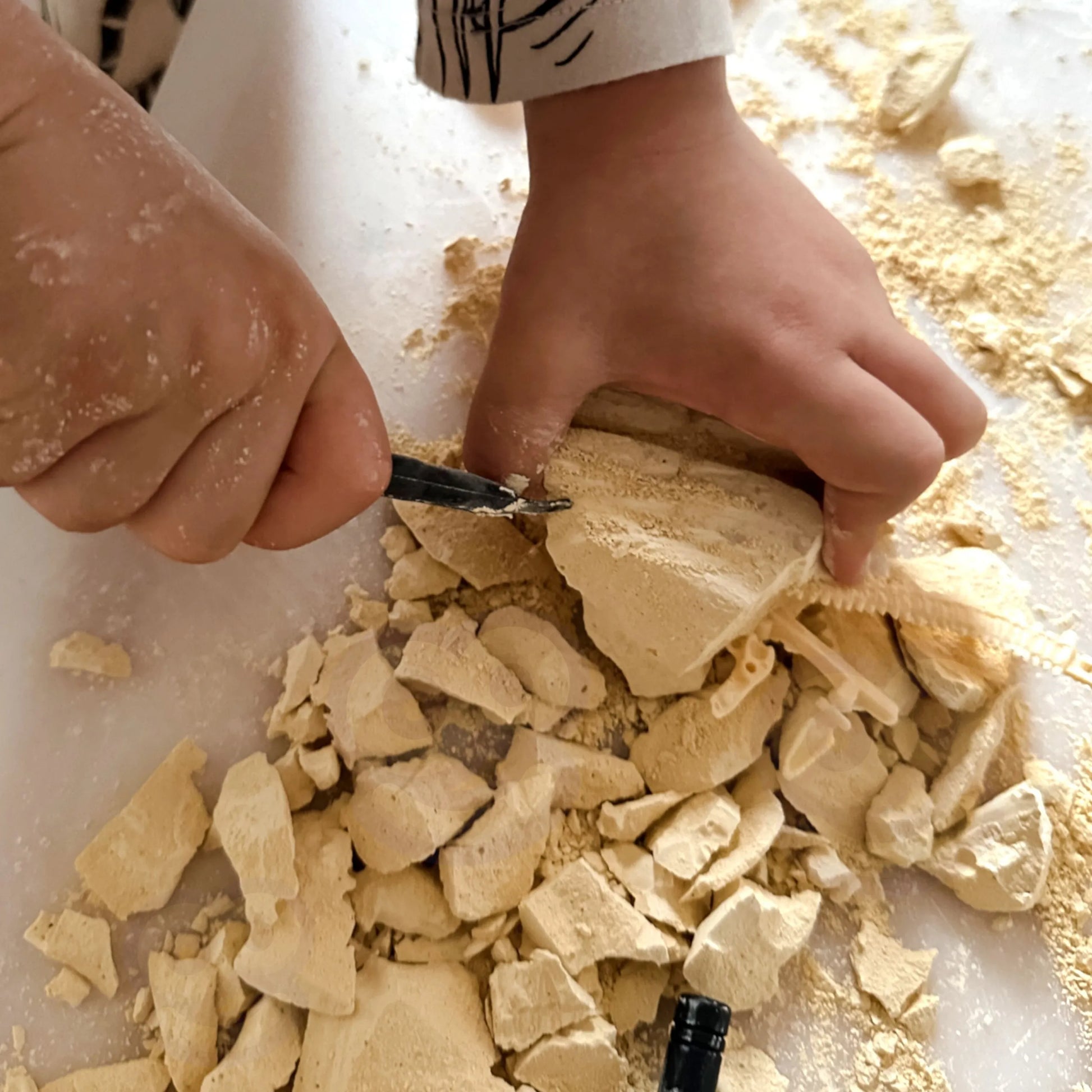 Woopie edukacinis archeologijos rinkinys „Stegozauro skamielinos“ (6+)
