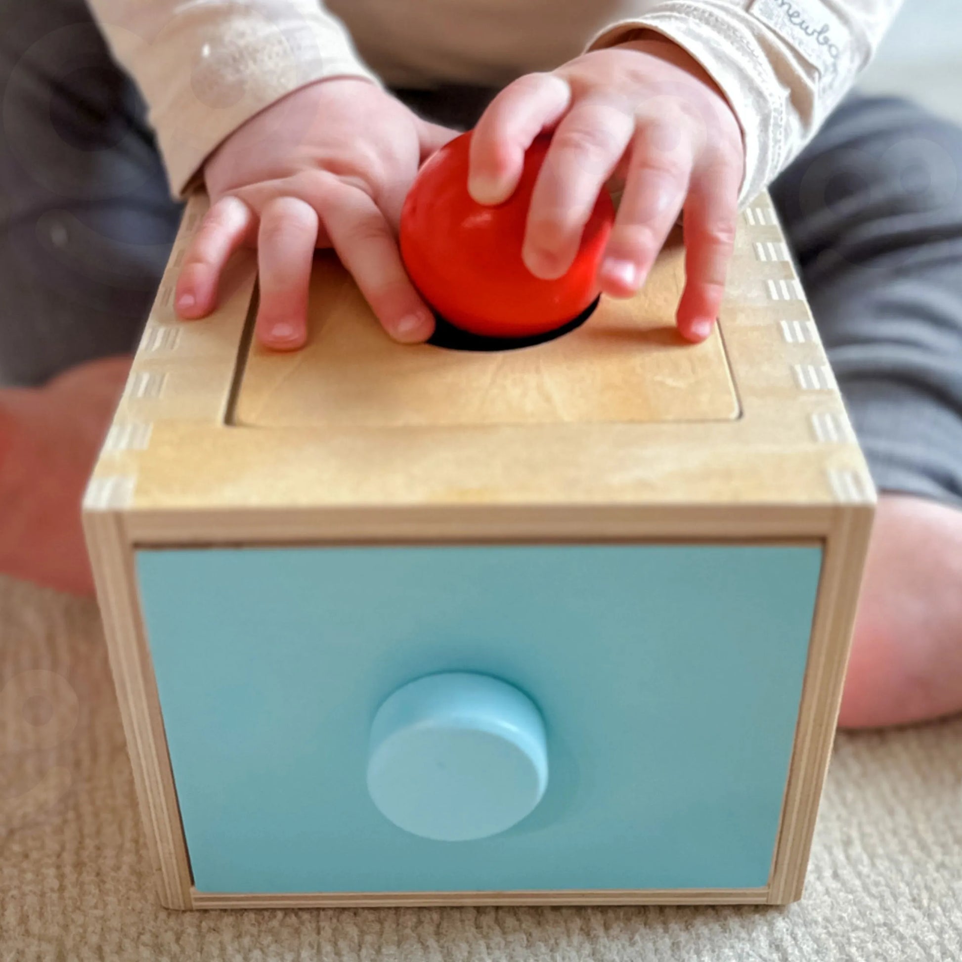 WOOPIE GREEN medinė edukacinė 4-in-1 Montessori rūšiavimo dėžutė „Morkų žaidimas“