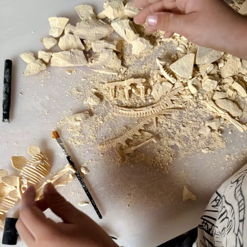 Dinozaurų skeleto archeologiniai kasinėjimai – dinozauras