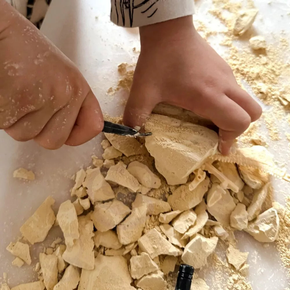 Dinozaurų skeleto archeologiniai kasinėjimai – dinozauras