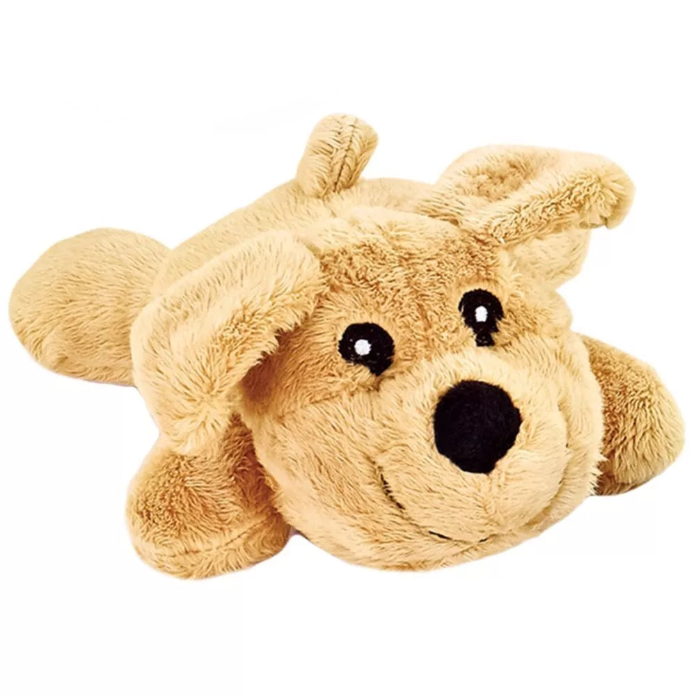 Veterinarijos gydytojo rinkinys